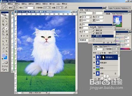 PS抠图的详细步骤