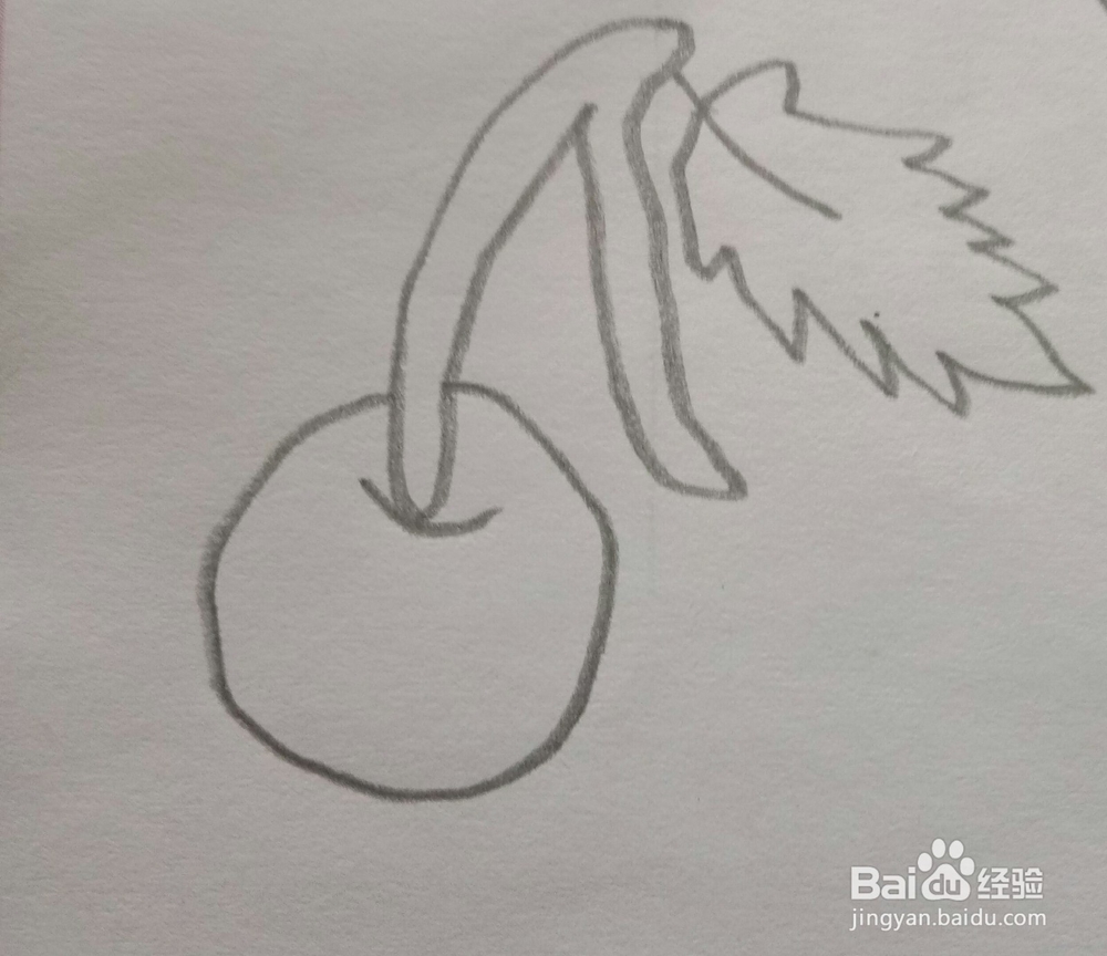 简笔画樱桃的画法5