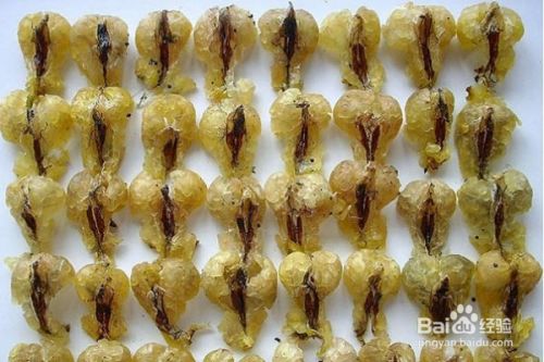 蛤蟆油怎么吃效果好 百度经验