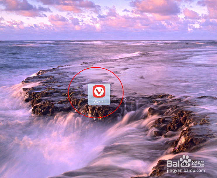 Vivaldi Web Browser 如何安装使用