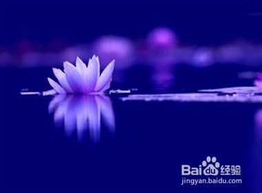 你不满意的,其实是你自己