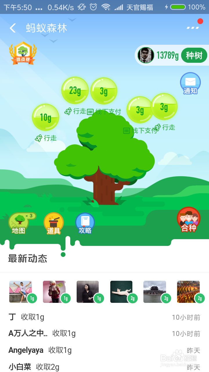 如何参与支付宝蚂蚁森林步步为森活动