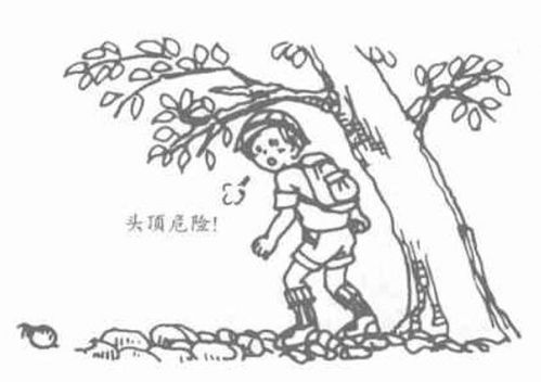 户外安全步行的基本法则