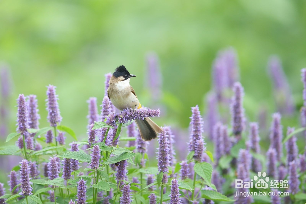 生活窍门 秋季宝宝或大人腹泻如何快速治疗