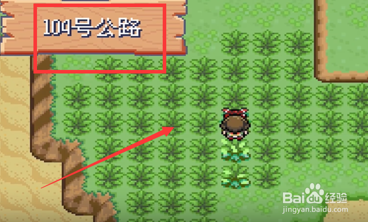 究极绿宝石5派拉斯特如何获得