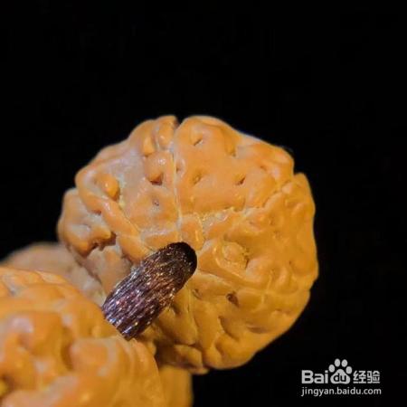 浅谈金刚菩提怎么盘玩，附盘玩秘籍