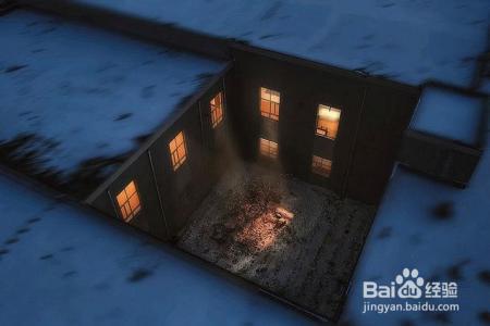 凛冬已至,闲以养花,最怡趣养心