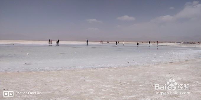 青海湖租摩托车骑行青海湖-青海湖,梦幻般的湖