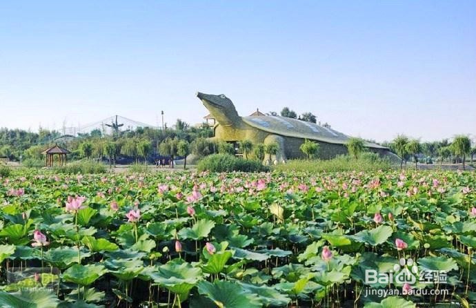 保定旅游景点攻略