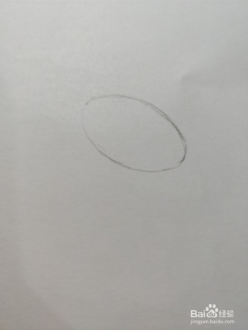 简笔画画莲藕