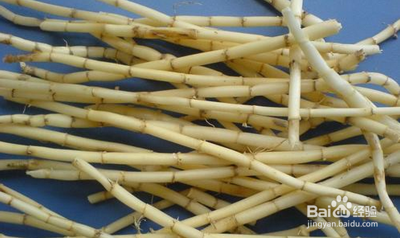 病毒性肝炎【华佗妙法】：[7]犀角地黄加减汤