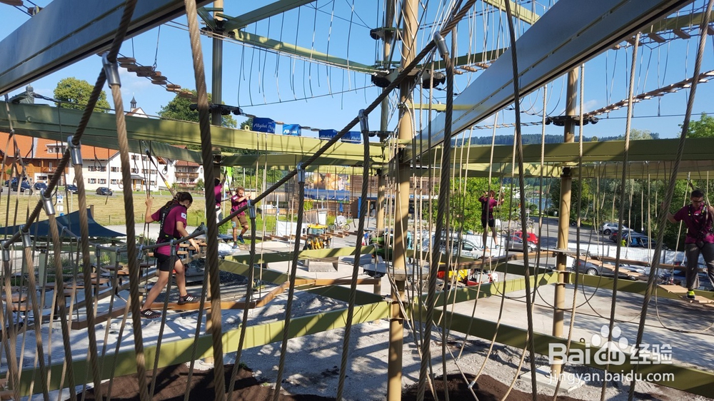 历奇探险 空中步道探险