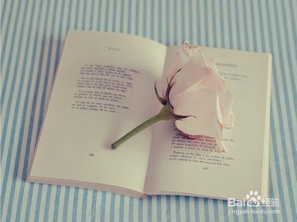 高三学生如何提高数学成绩