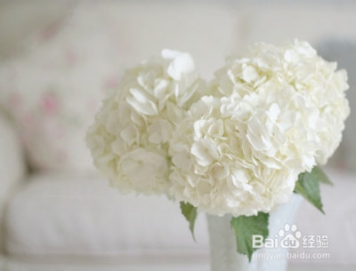 步入大学，我们要怎样处理好与室友之间的关系？