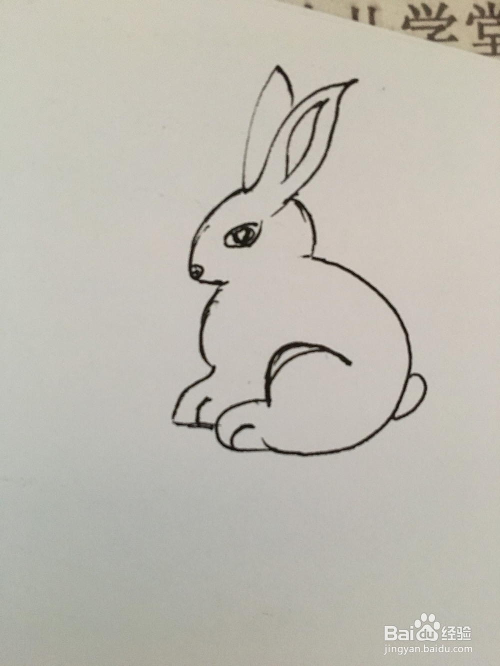 幼儿简笔画动物：小白兔的画法