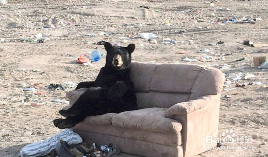 有哪些不良的生活习惯会影响你健康