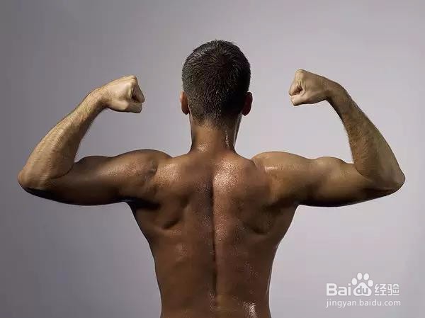 先增肌还是先减肥？