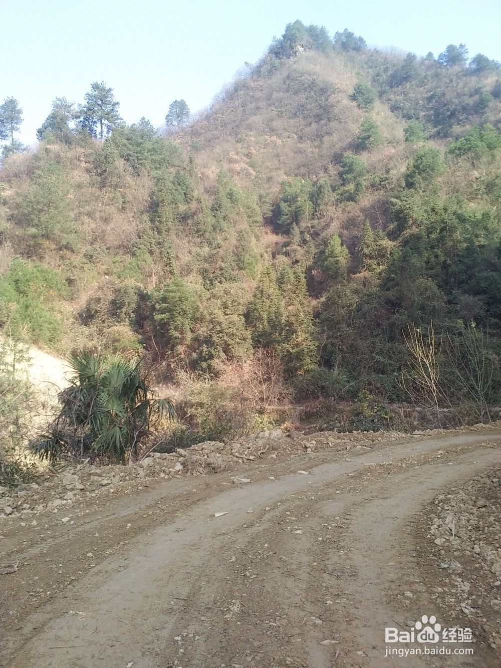 田云青老师旅游景观册编辑方法