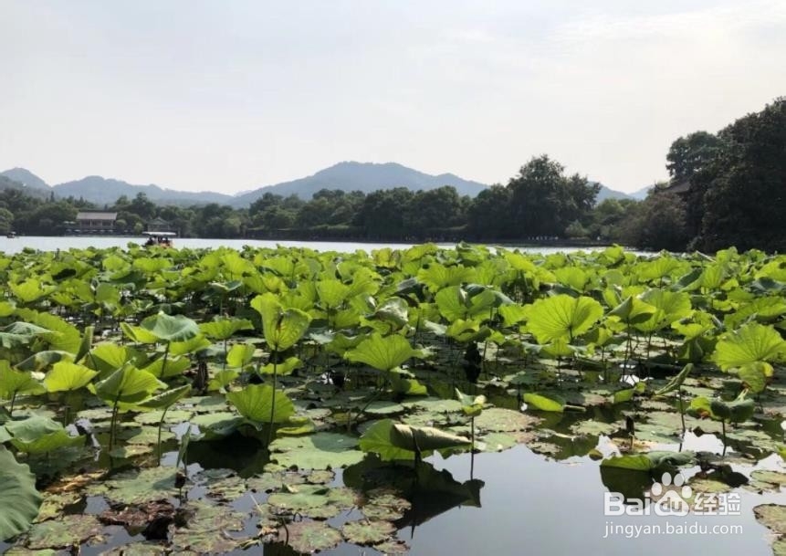 2019国庆节杭州旅游攻略