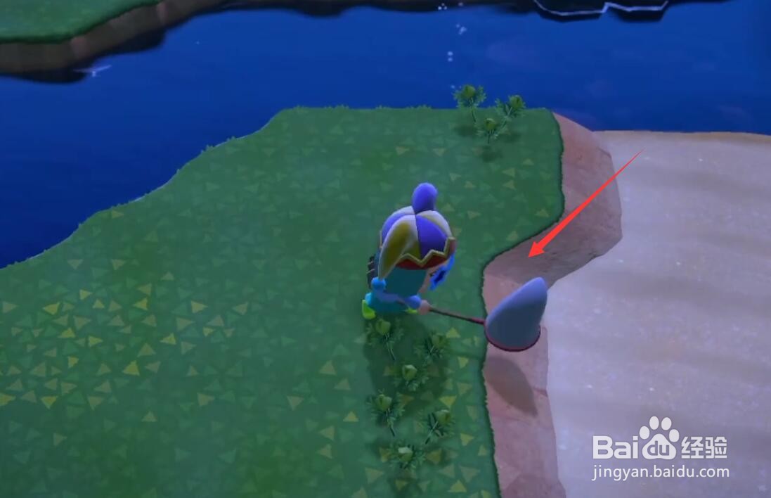 动森蜘蛛怎么捉