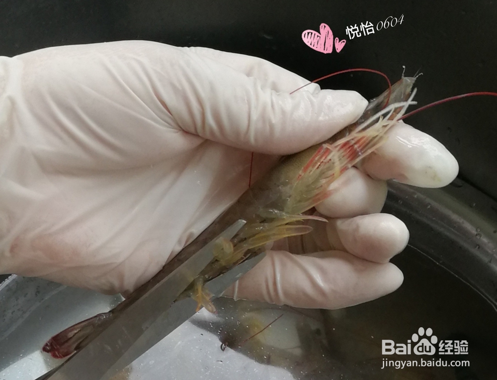 给对象做的白灼虾做法摆盘