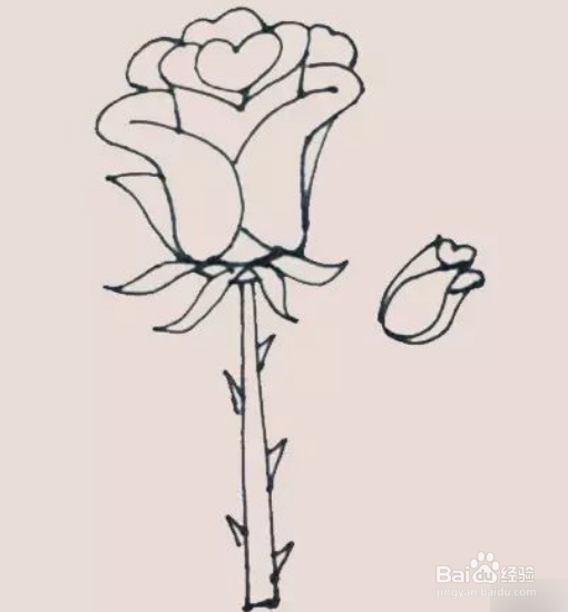 玫瑰花简笔画的画法