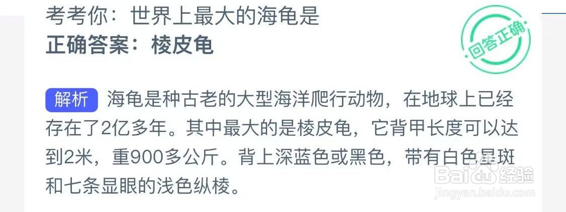 考考你世界上最大的海龟是？神奇海洋