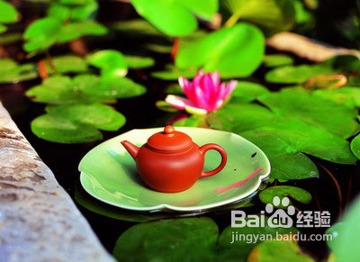 12种刮油消脂茶DIY