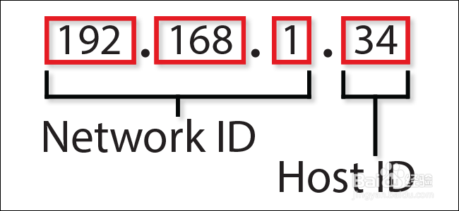 <b>两种方法通过域名获取ip地址</b>