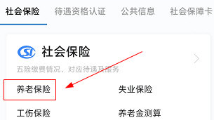 石家庄人社怎么查养老保险