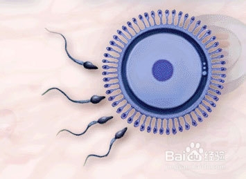 精子异常怎么治疗有效