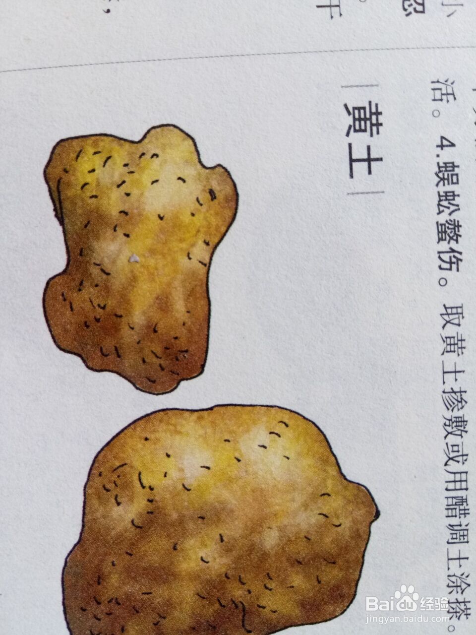 土对人体的益处
