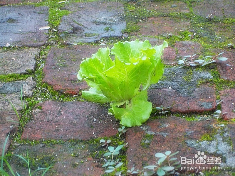 和已选择的人怎么处对象