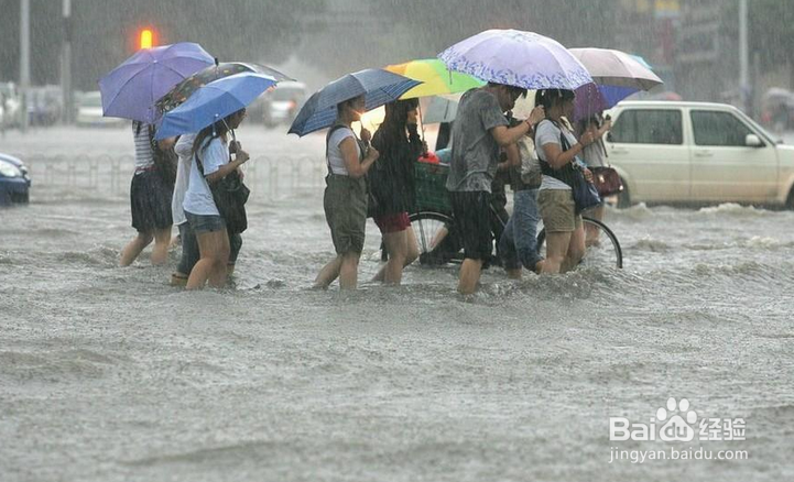 如何防范暴雨和洪涝