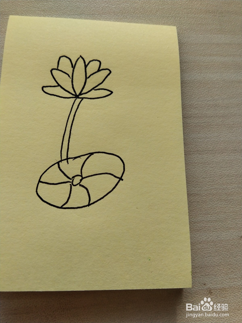 荷花的简笔画怎么画