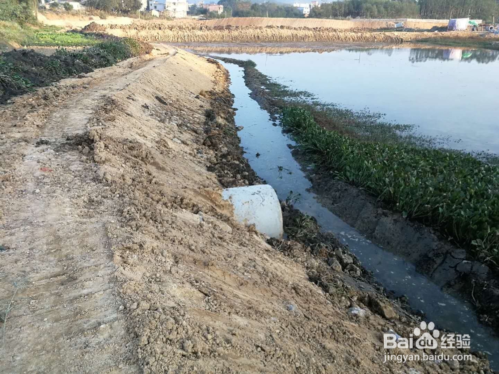 鱼塘改建进展4