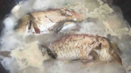 鲫鱼冬瓜浓汤