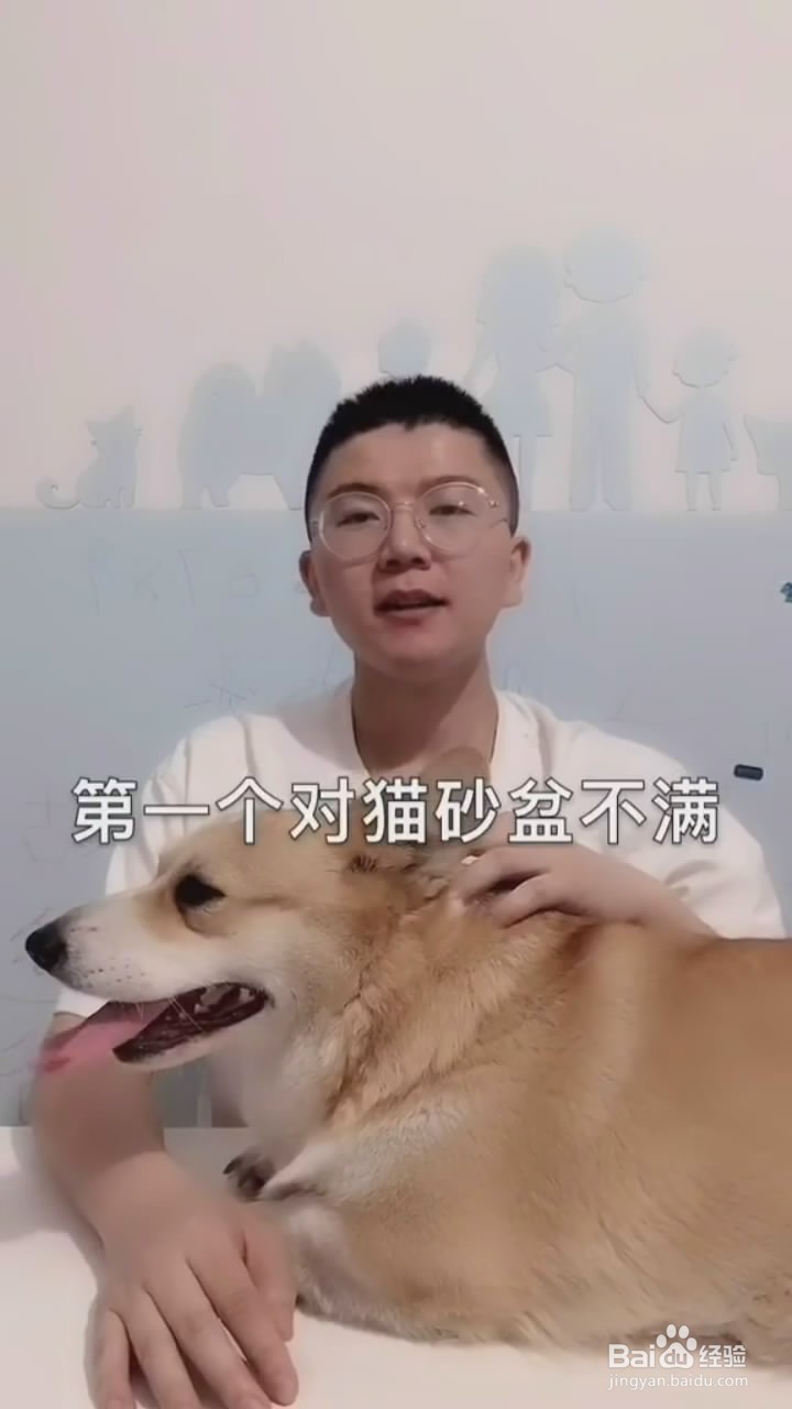 猫咪为什么乱拉乱尿