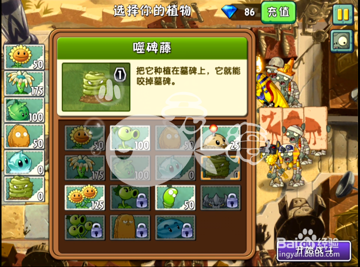 植物大战僵尸2攻略 神秘埃及 第十天二星