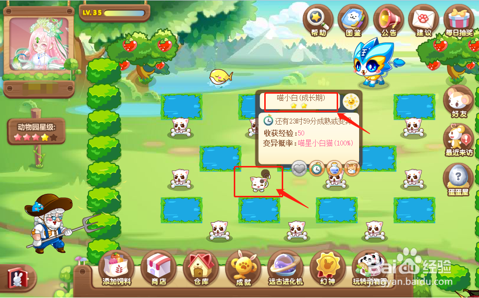 奥比岛中的喵星小白猫怎么获得？