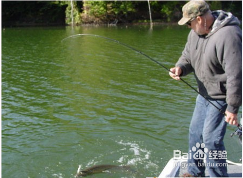 冬天钓鱼技巧让你大有收获