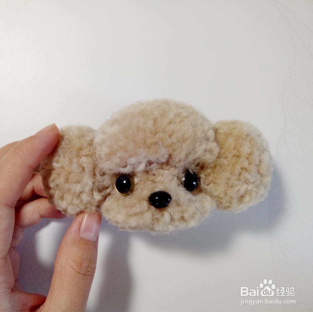 小泰迪的基础教程