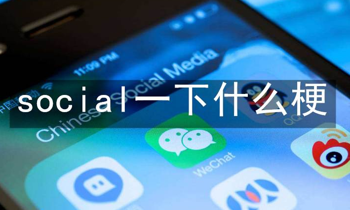 social一下是什么梗