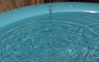 衣服上有黄油怎么洗