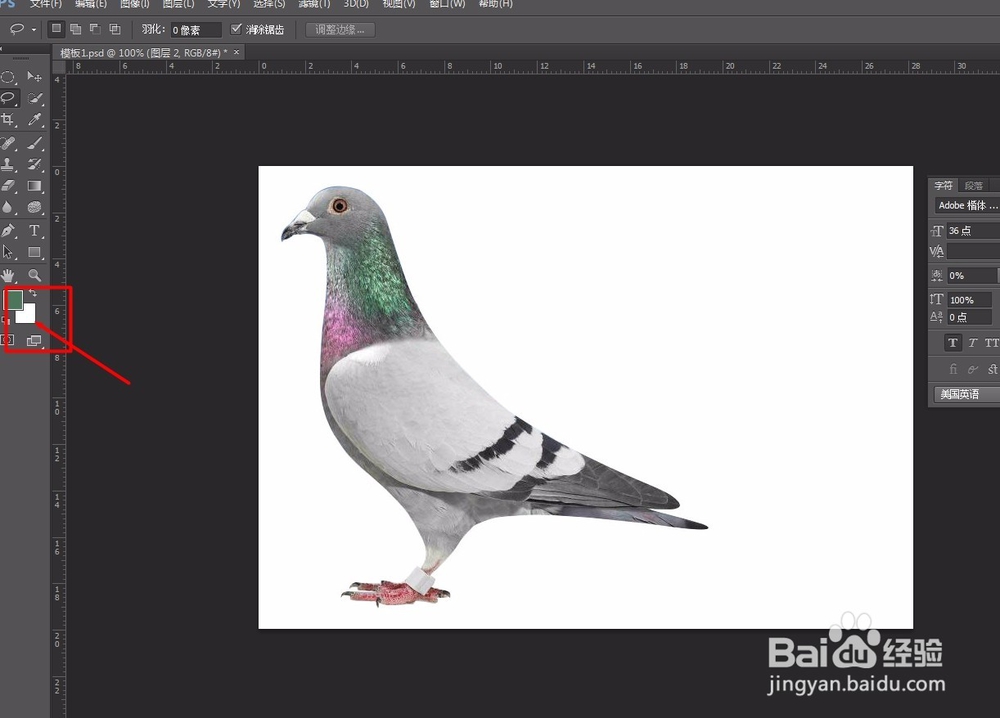 ps新手教学 必学6