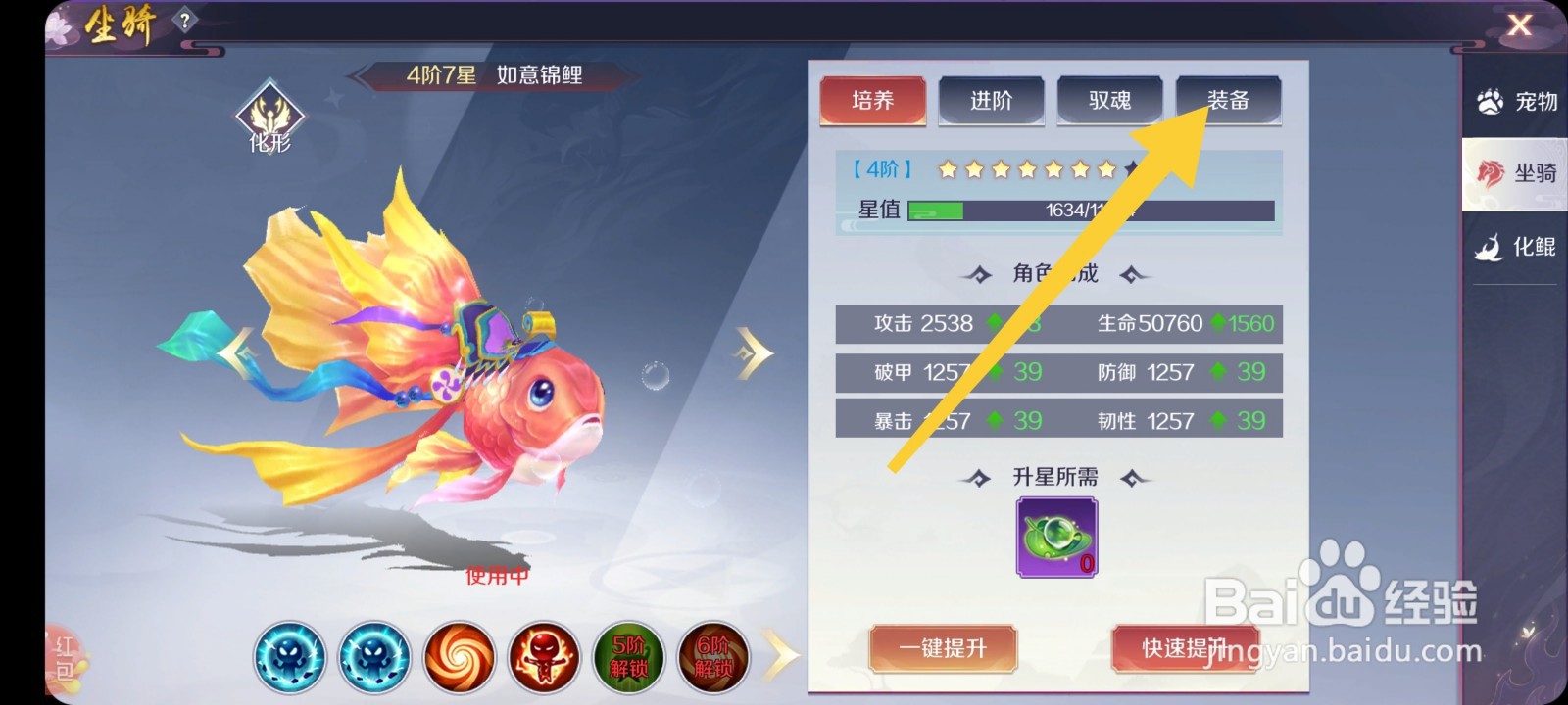 斗破火舞怎么穿戴坐骑装备