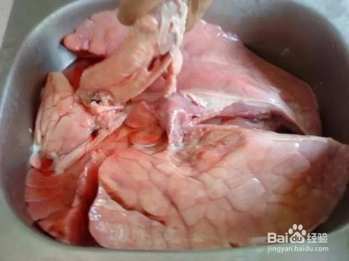 如何清洗猪肺