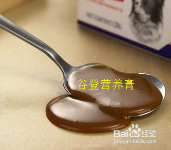 已经成年的泰迪很瘦是什么原因应该怎么办