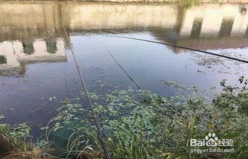 如何认知冬钓技巧