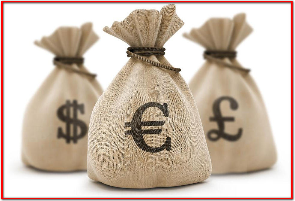 什么是净要素支付